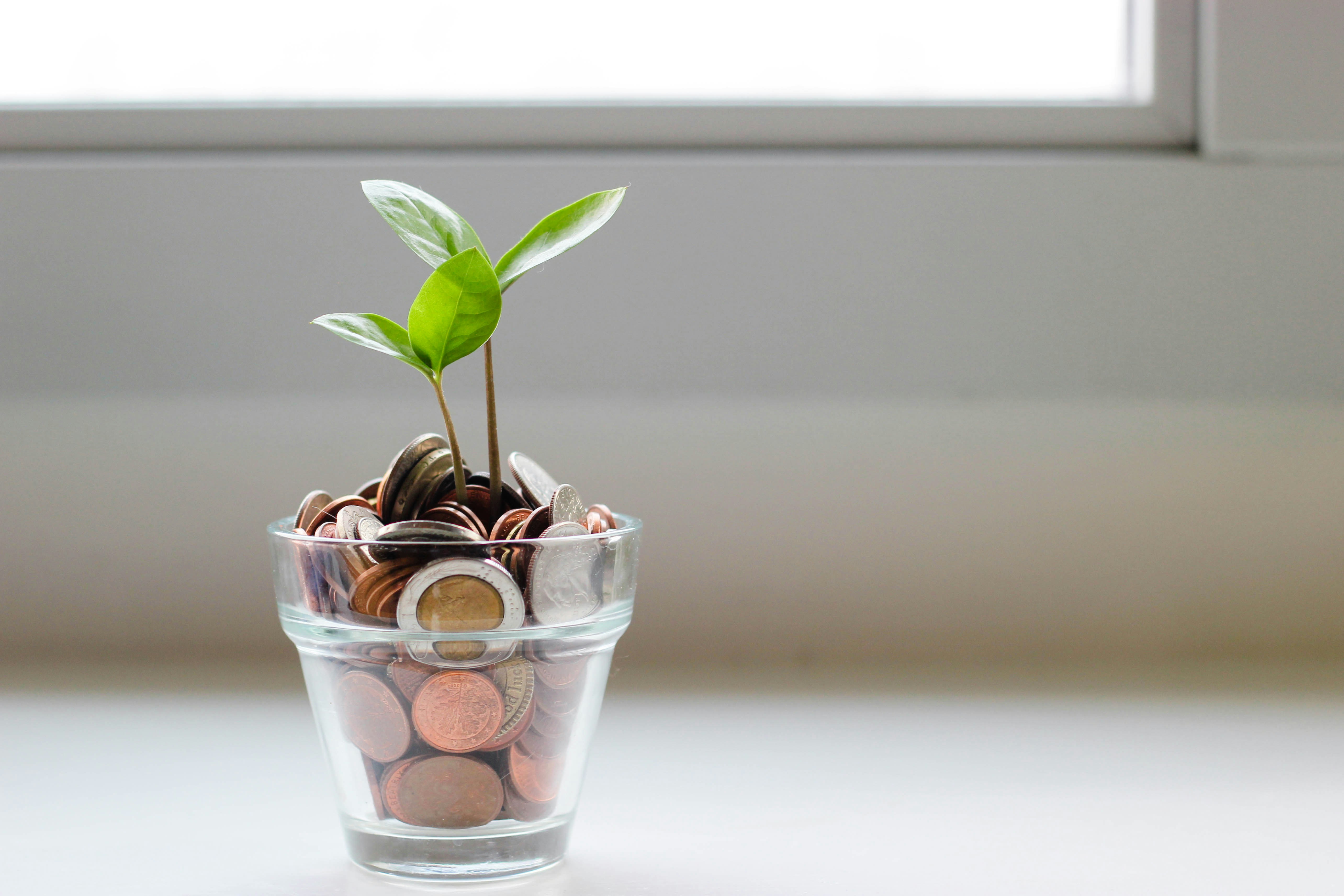 A glass jar of coins with a small plant growing from the top